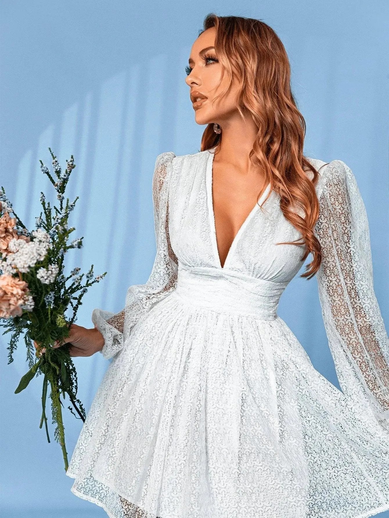 Deep V Neck Lantern Sleeve Lace Dress