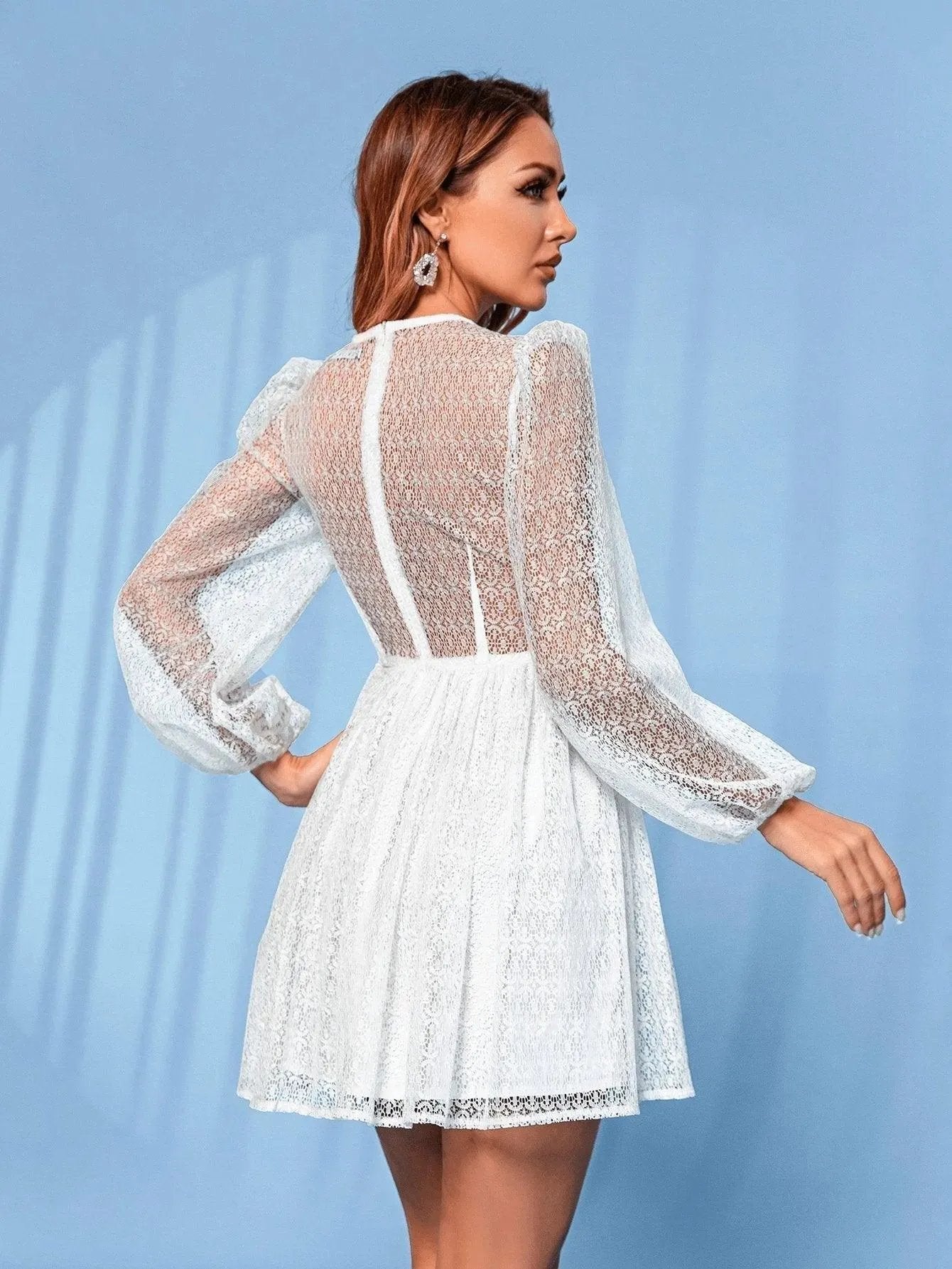Deep V Neck Lantern Sleeve Lace Dress