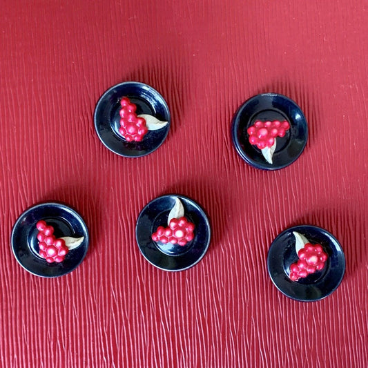 Vintage Plastic Coat Buttons Unique Set Jewelry Bubble